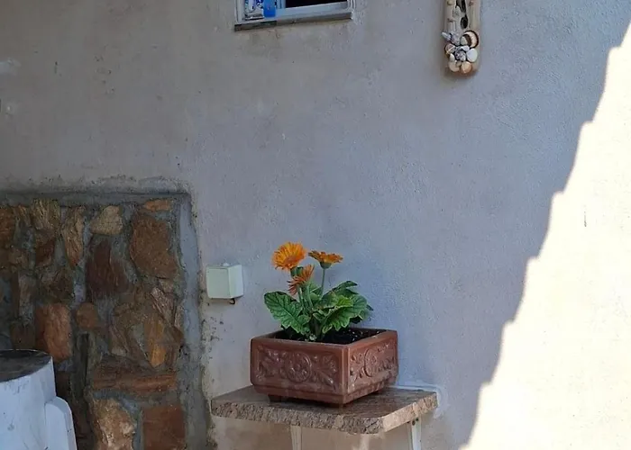 Souzana's House 別荘 *