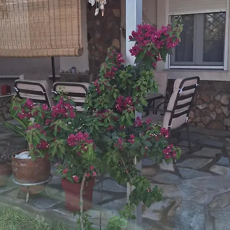 Casa vacanze Souzana's House *